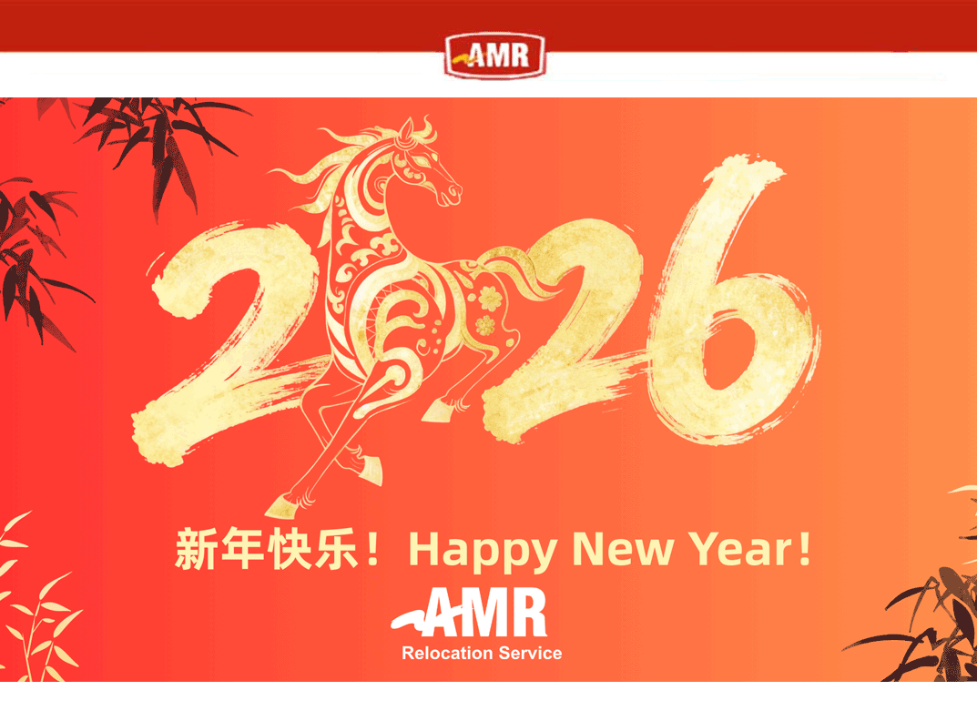 professional mover packing the boxes